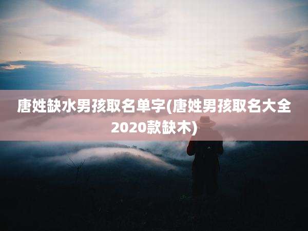 唐姓缺水男孩取名单字(唐姓男孩取名大全2020款缺木)