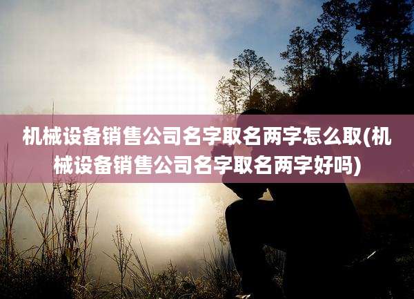 机械设备销售公司名字取名两字怎么取(机械设备销售公司名字取名两字好吗)