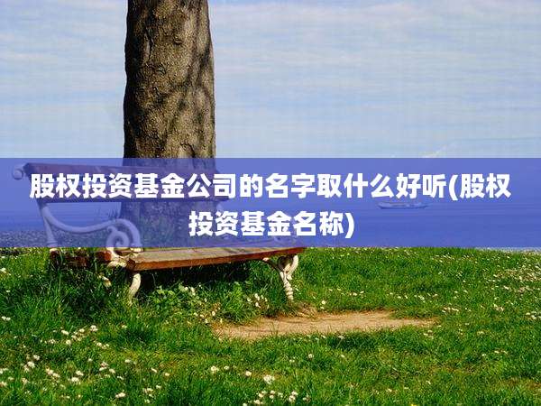 股权投资基金公司的名字取什么好听(股权投资基金名称)