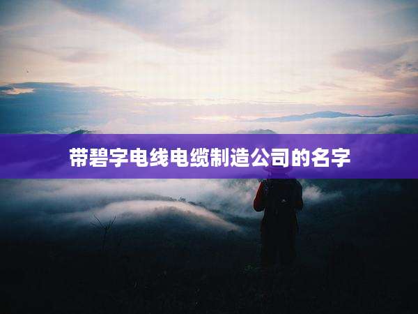 带碧字电线电缆制造公司的名字