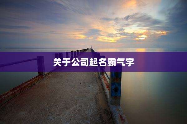 关于公司起名霸气字