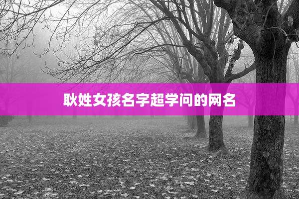 耿姓女孩名字超学问的网名