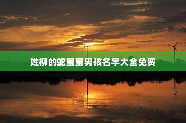 姓柳的蛇宝宝男孩名字大全免费