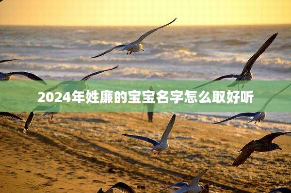 2024年姓廉的宝宝名字怎么取好听