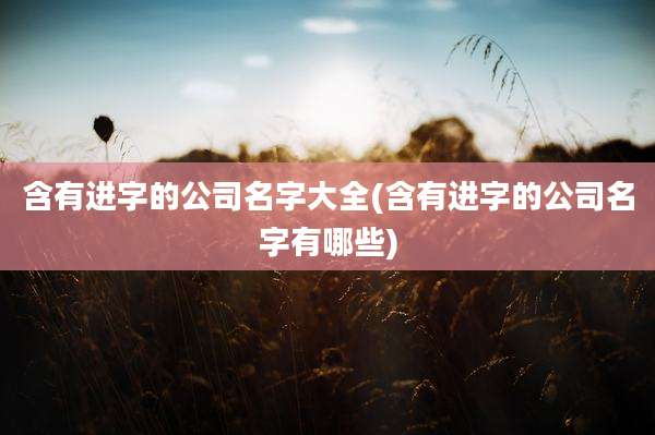 含有进字的公司名字大全(含有进字的公司名字有哪些)
