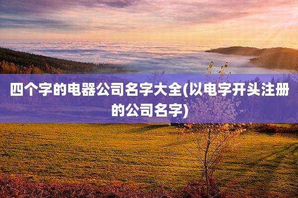 四个字的电器公司名字大全(以电字开头注册的公司名字)