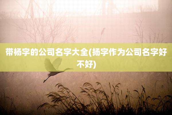 带杨字的公司名字大全(扬字作为公司名字好不好)