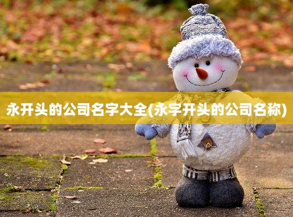 永开头的公司名字大全(永字开头的公司名称)