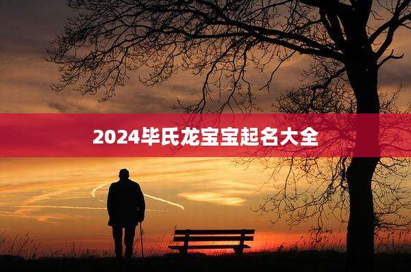2024毕氏龙宝宝起名大全