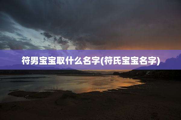符男宝宝取什么名字(符氏宝宝名字)