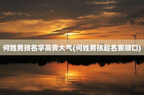 何姓男孩名字高贵大气(何姓男孩起名要顺口)