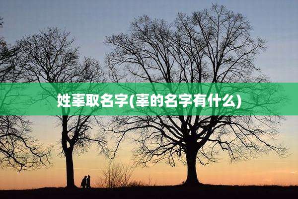 姓辜取名字(辜的名字有什么)