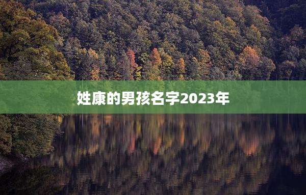姓康的男孩名字2023年