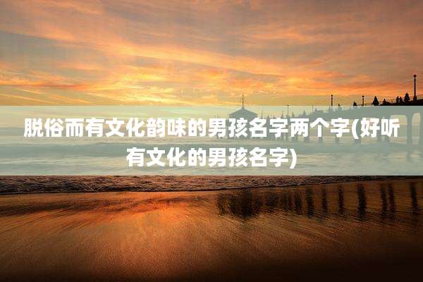 脱俗而有文化韵味的男孩名字两个字(好听有文化的男孩名字)