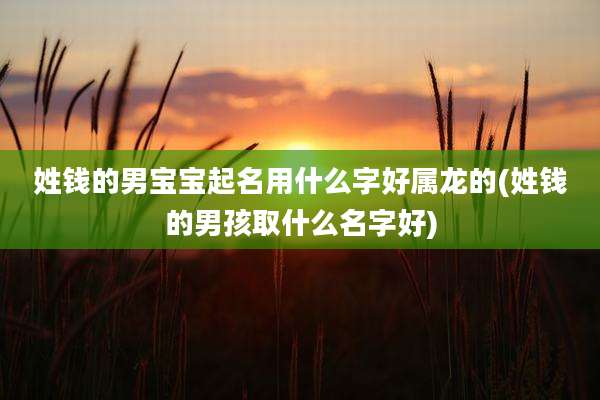 姓钱的男宝宝起名用什么字好属龙的(姓钱的男孩取什么名字好)