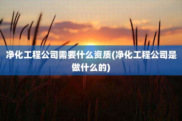 净化工程公司需要什么资质(净化工程公司是做什么的)