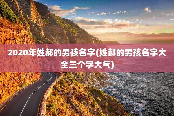2020年姓郝的男孩名字(姓郝的男孩名字大全三个字大气)