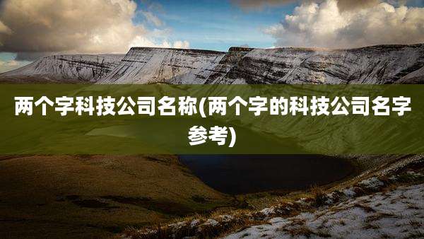 两个字科技公司名称(两个字的科技公司名字参考)