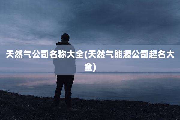 天然气公司名称大全(天然气能源公司起名大全)