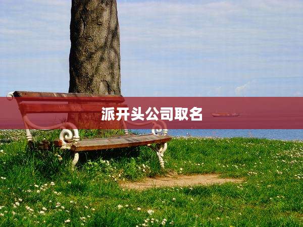 派开头公司取名