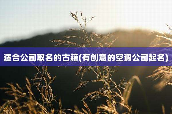 适合公司取名的古籍(有创意的空调公司起名)