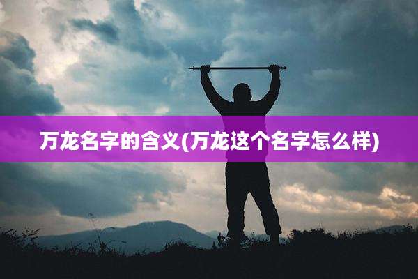 万龙名字的含义(万龙这个名字怎么样)
