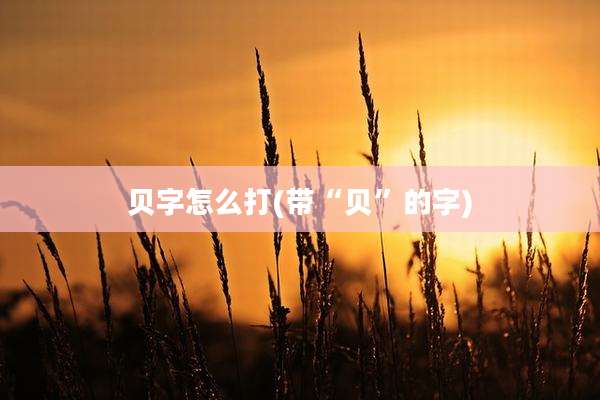贝字怎么打(带“贝”的字)