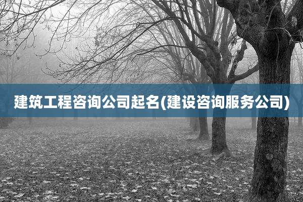 建筑工程咨询公司起名(建设咨询服务公司)