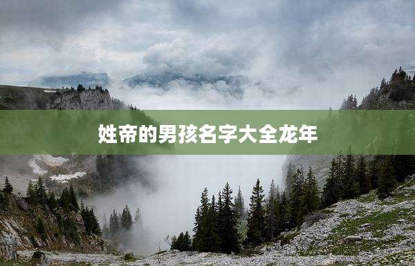 姓帝的男孩名字大全龙年