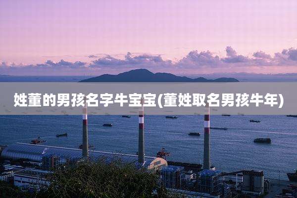 姓董的男孩名字牛宝宝(董姓取名男孩牛年)