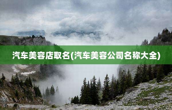 汽车美容店取名(汽车美容公司名称大全)