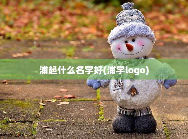 浦起什么名字好(浦字logo)