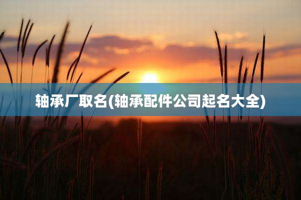 轴承厂取名(轴承配件公司起名大全)