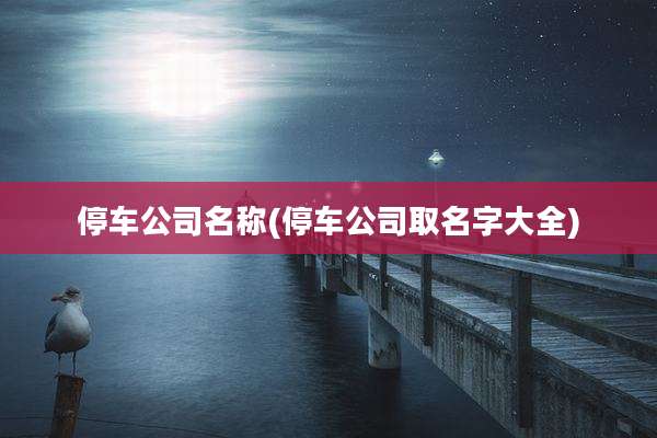 停车公司名称(停车公司取名字大全)