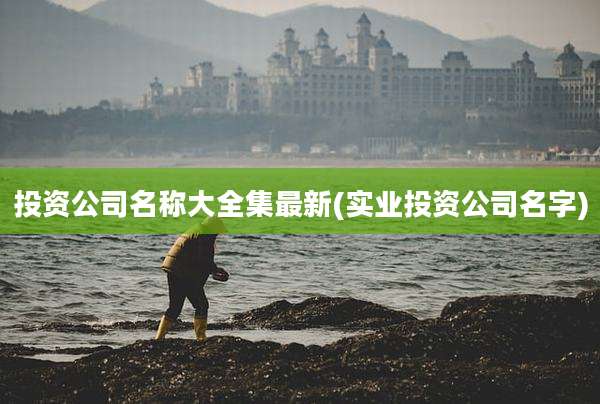 投资公司名称大全集最新(实业投资公司名字)
