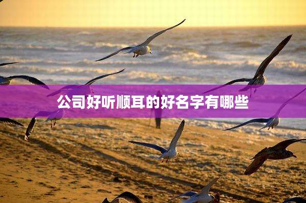 公司好听顺耳的好名字有哪些
