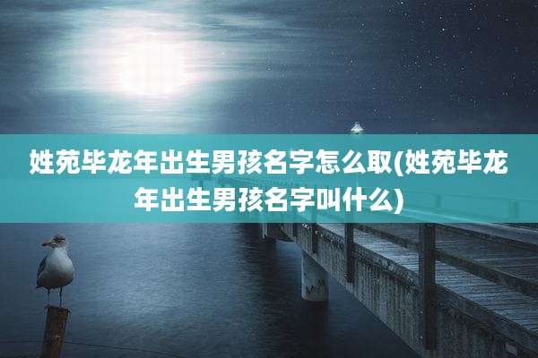 姓苑毕龙年出生男孩名字怎么取(姓苑毕龙年出生男孩名字叫什么)