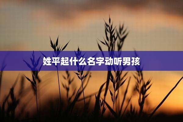 姓平起什么名字动听男孩