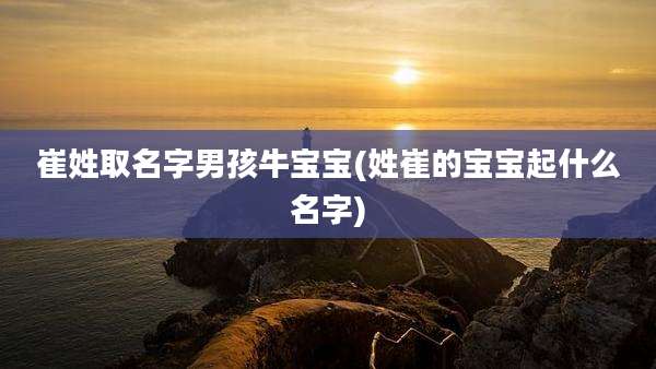 崔姓取名字男孩牛宝宝(姓崔的宝宝起什么名字)