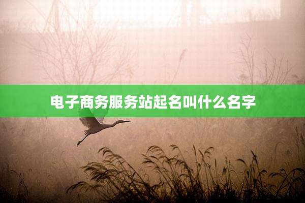 电子商务服务站起名叫什么名字