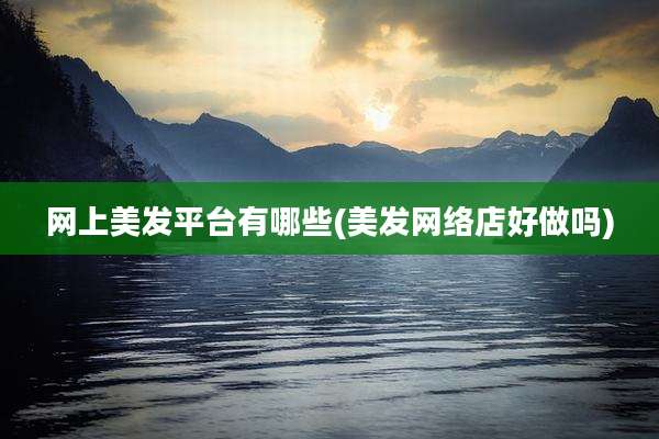 网上美发平台有哪些(美发网络店好做吗)