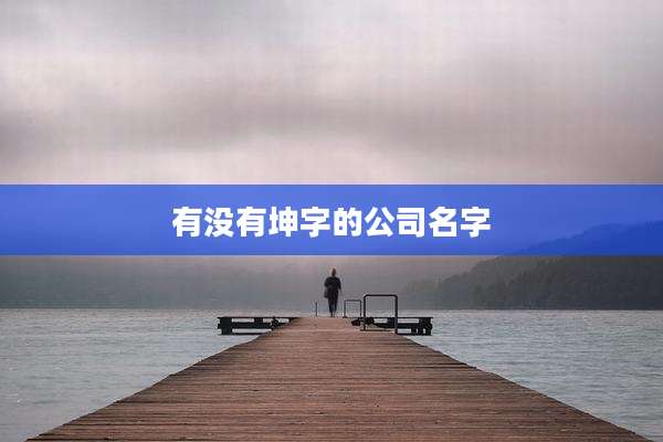 有没有坤字的公司名字