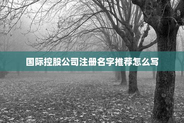 国际控股公司注册名字推荐怎么写