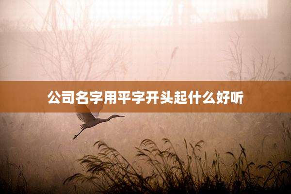 公司名字用平字开头起什么好听