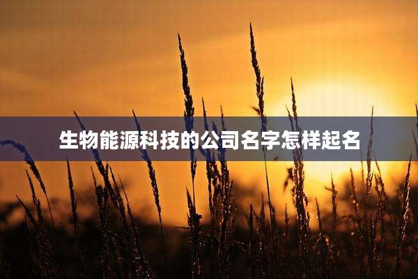 生物能源科技的公司名字怎样起名