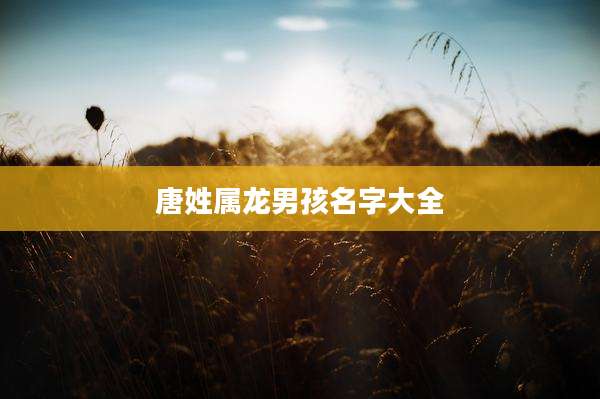 唐姓属龙男孩名字大全