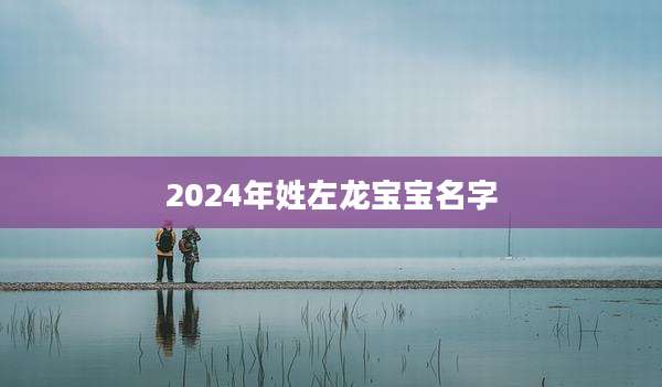 2024年姓左龙宝宝名字