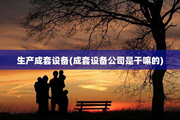 生产成套设备(成套设备公司是干嘛的)
