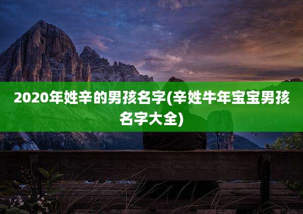 2020年姓辛的男孩名字(辛姓牛年宝宝男孩名字大全)