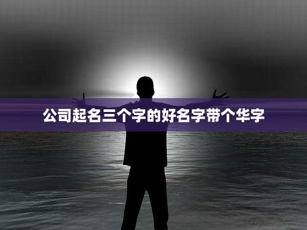 公司起名三个字的好名字带个华字